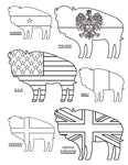 Let's Go Buffalo Coloring Book