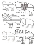 Let's Go Buffalo Coloring Book